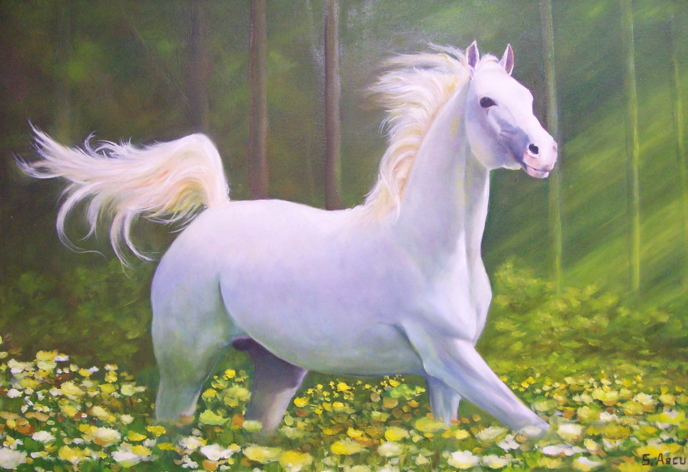 Белоснежные лошадки. Белая лошадь ТОМПСОНОВ. Фризская лошадь альбинос. Благородная лошадь. Красивая белая лошадь.