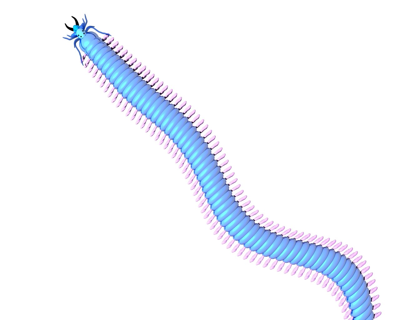 Синих червяков. Многощетинковые черви Нереида. Многощетинковые кольчатые черви. Nereis многощетинковые черви.