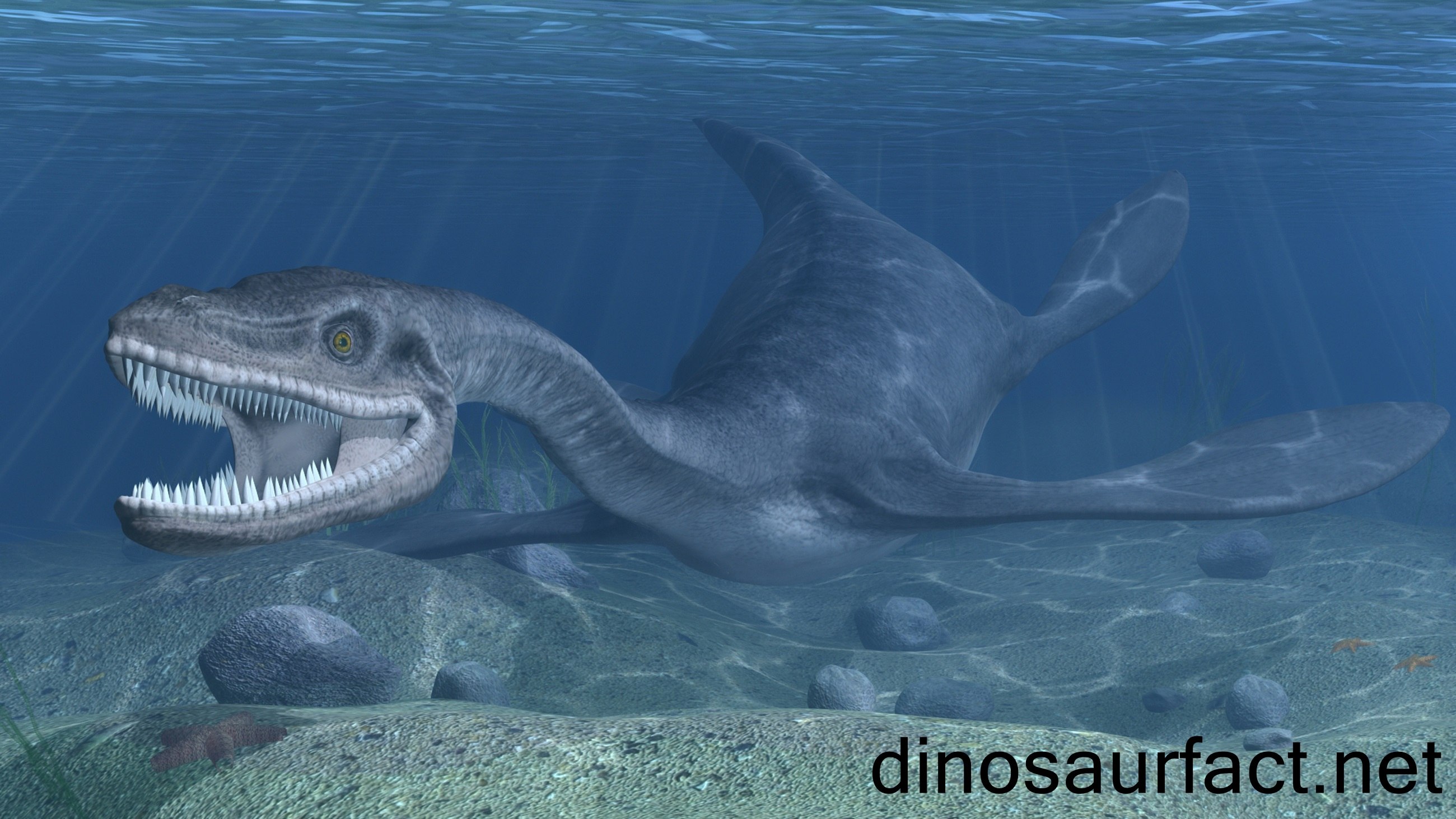 Динозавр жил в воде. Несси Плиозавр. Плезиозавр Несси. Динозавры морские Плезиозавр. Плезиозавр Юрского периода.