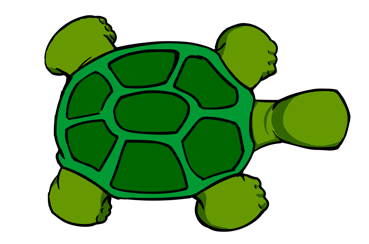 Черепашка картинка. Черепаха рисунок. Изображение черепахи для детей. Рисунок черепахи для детей 1 класса. Черепаха картинка для детей.