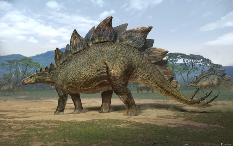 Динозавр стегозавр (62 фото)