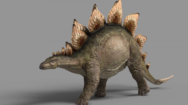 Фигурка Schleich динозавр Стегозавр 14520