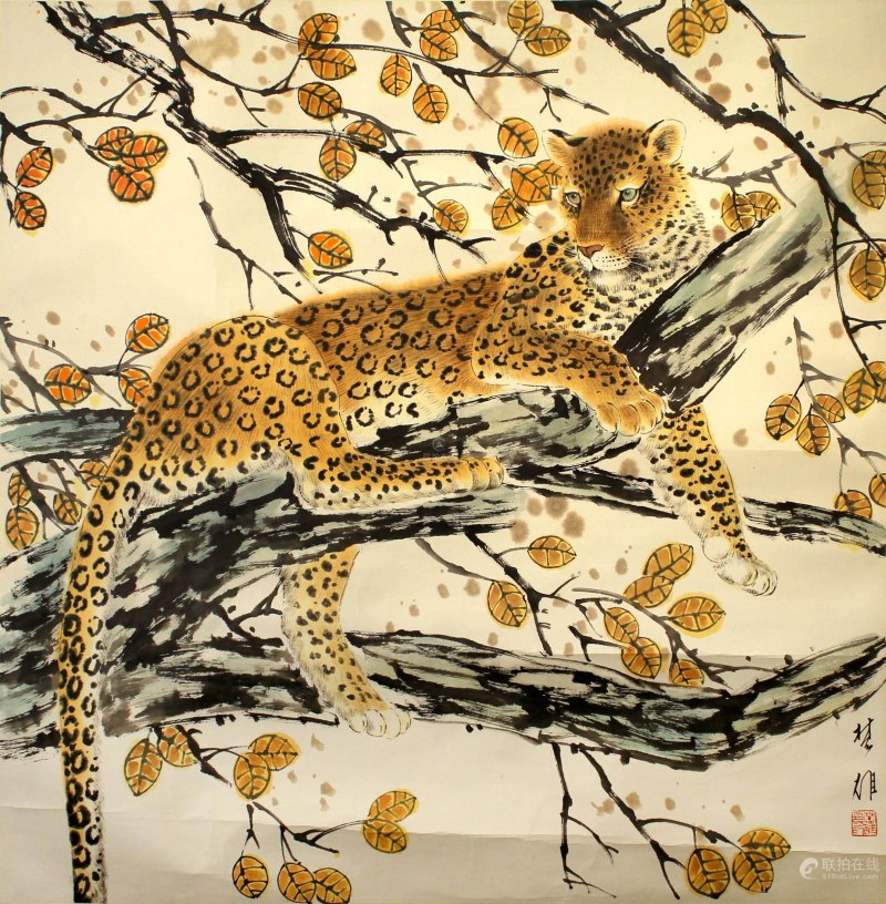 Amur Leopard Habitat