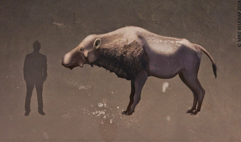 Daeodon shoshonensis
