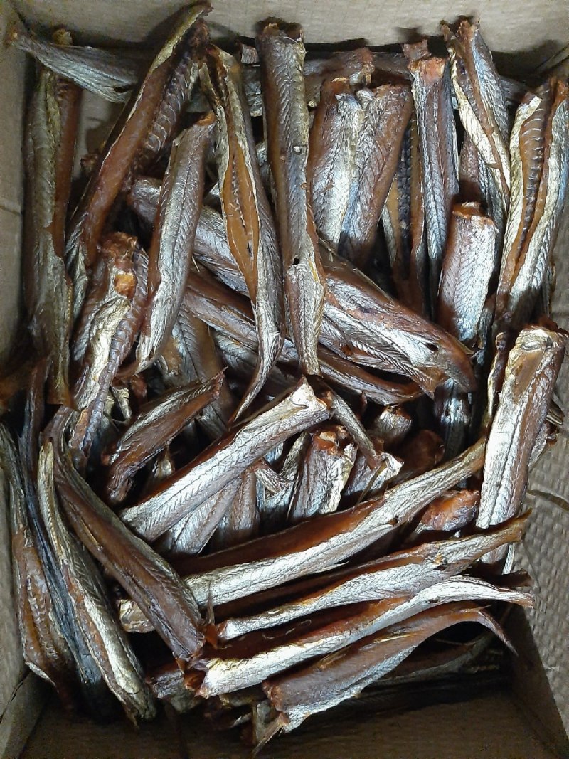 Морская малоротая корюшка