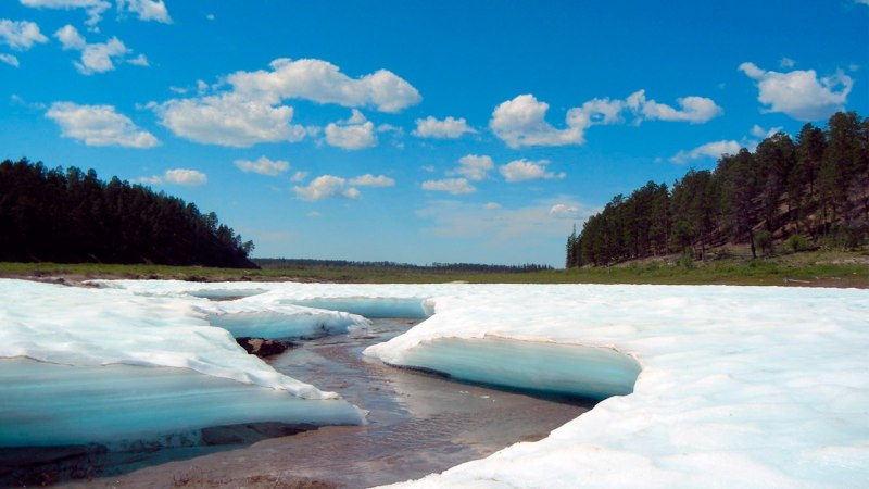 Улов рыбы