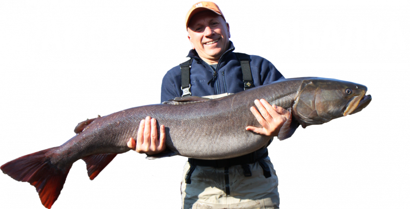 Дунайский лосось 1280 720
