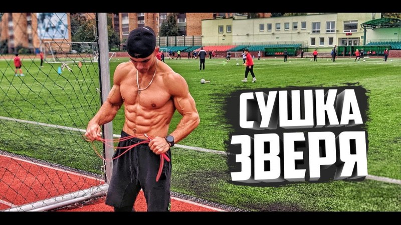 Лосиха переходит дорогу