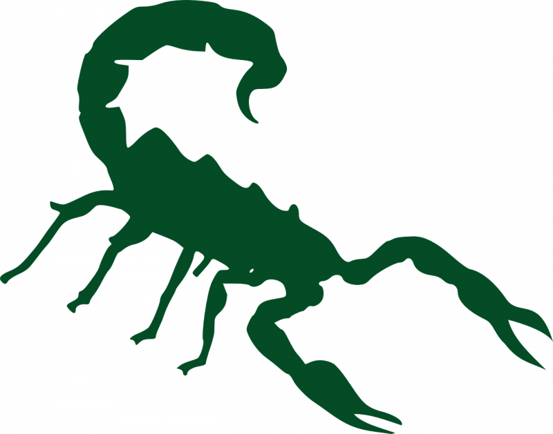 Стрипедтальский Скорпион