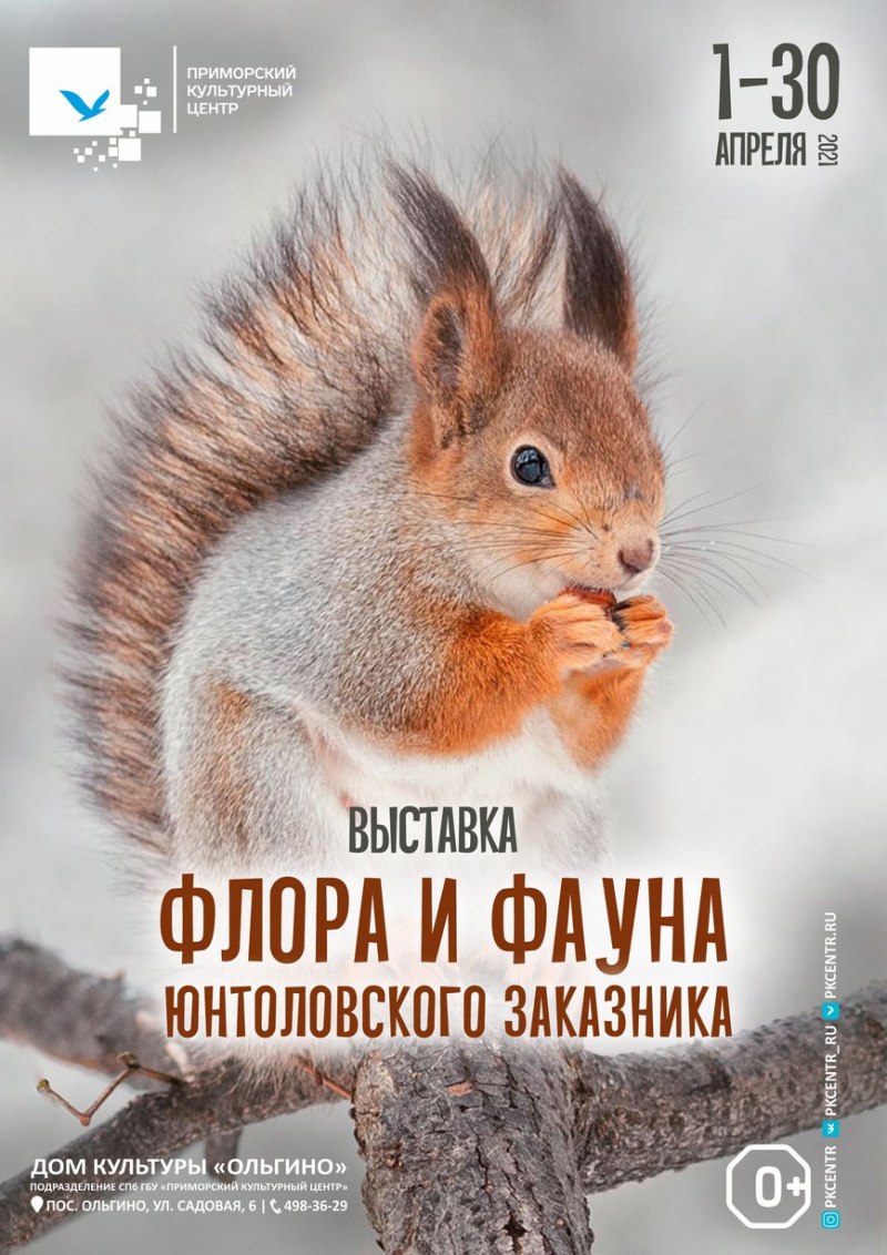 Красивая белка