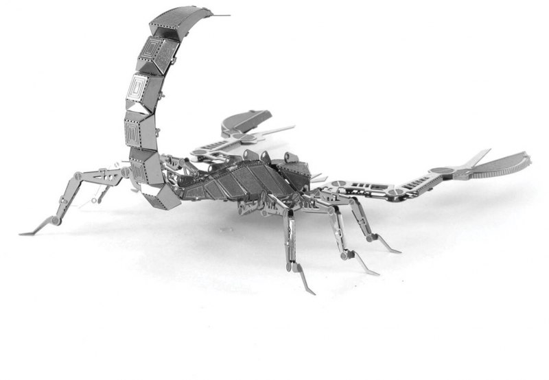 Водяной Скорпион NEPA cinerea