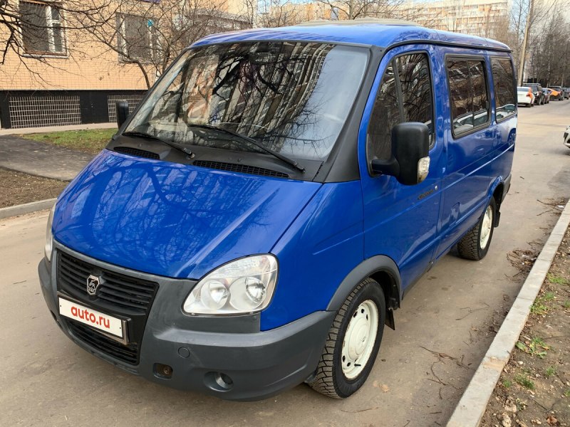 Французский бульдог голубой Соболь