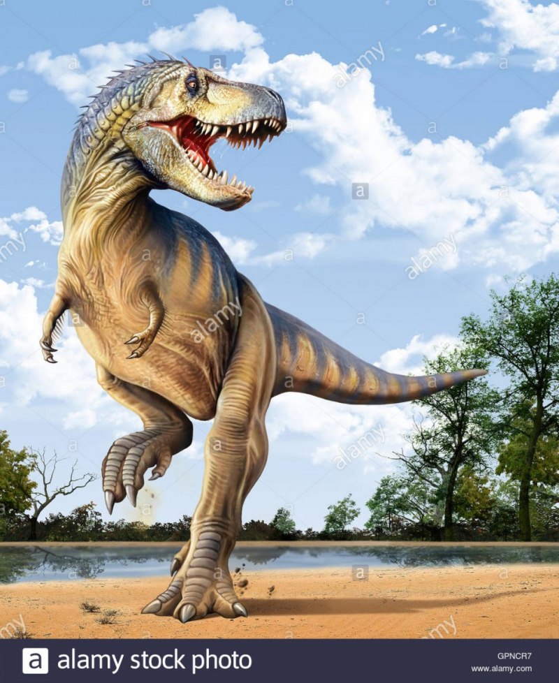 Динозавр рэкс (60 фото)