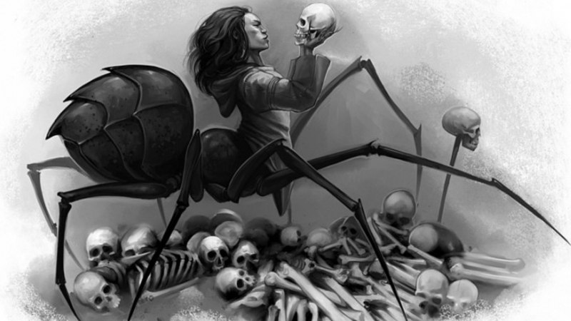 Драук (Drider)