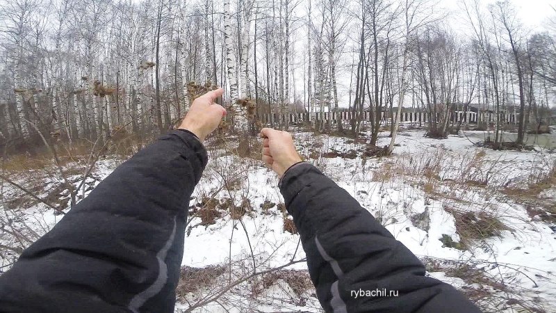 Белокрылка гусеница