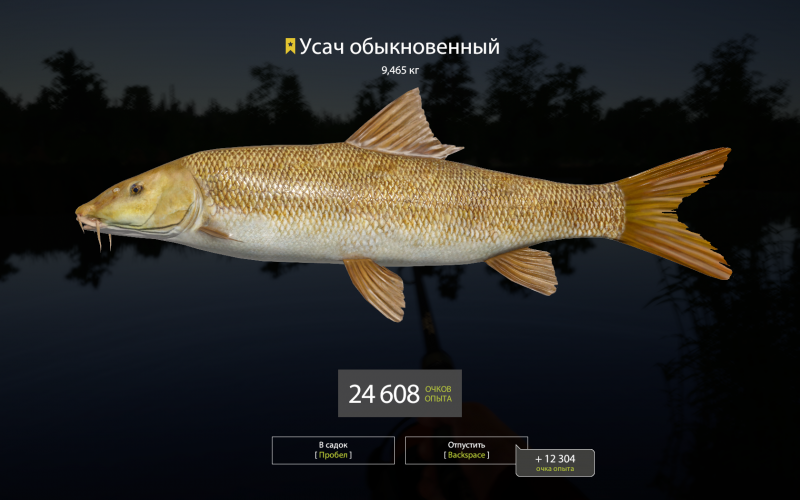 Мирон рыба