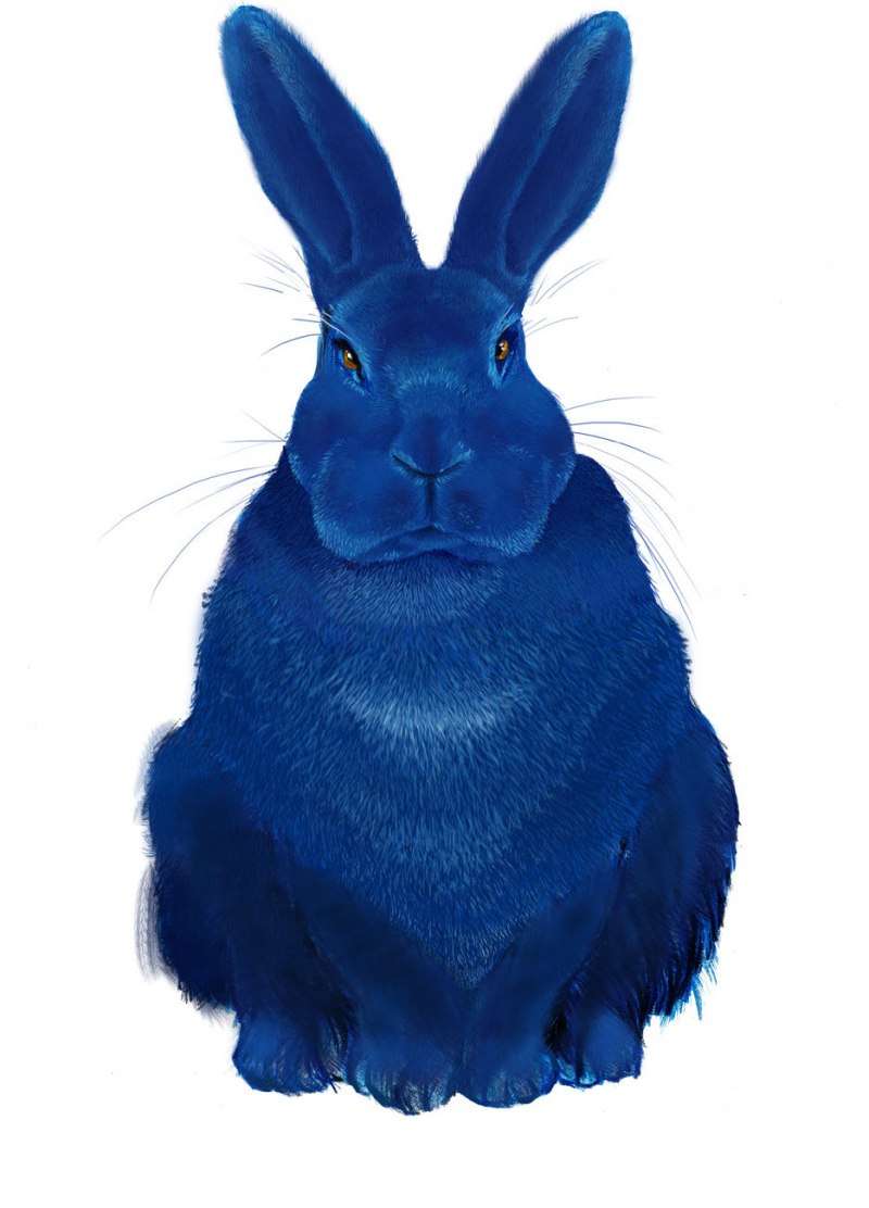 Синий зайчик