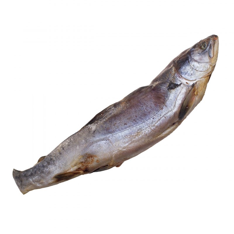 Black Cod Miso