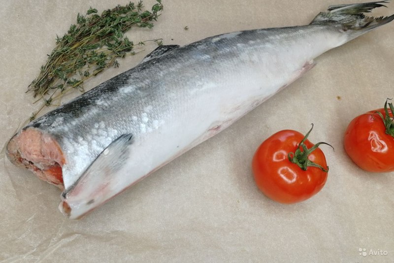 Black Cod рыба