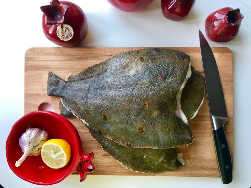 Полярная камбала белого моря