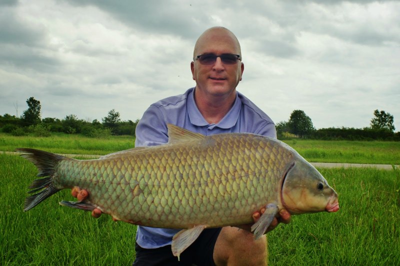 Карп обыкновенный – Cyprinus Carpio
