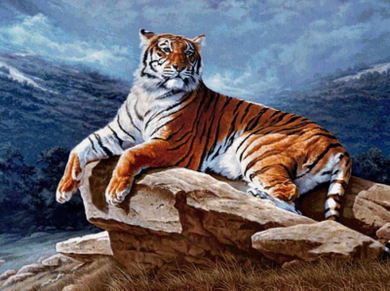 Амурский тигр картина