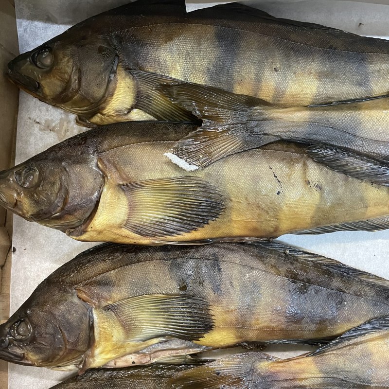 Рыба терпуг отзывы по вкусу