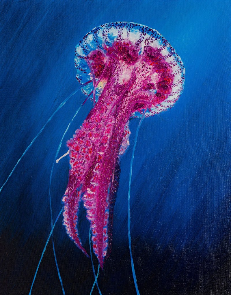 Пелагия ночесветка (Pelagia Noctiluca)