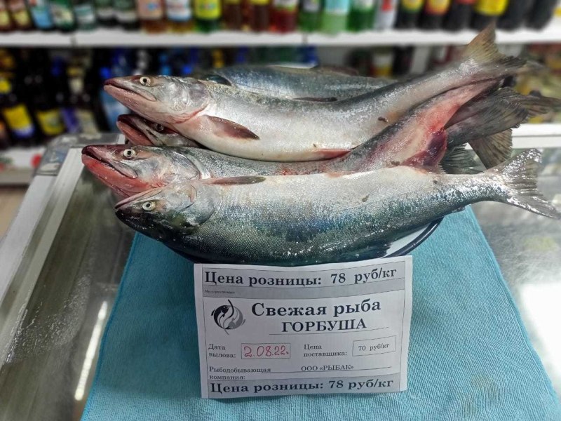 Аляскинский лосось