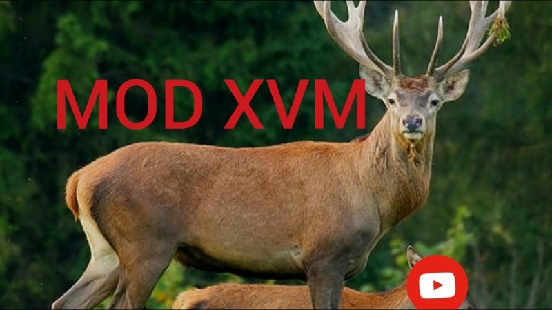 Благородный олень Марал