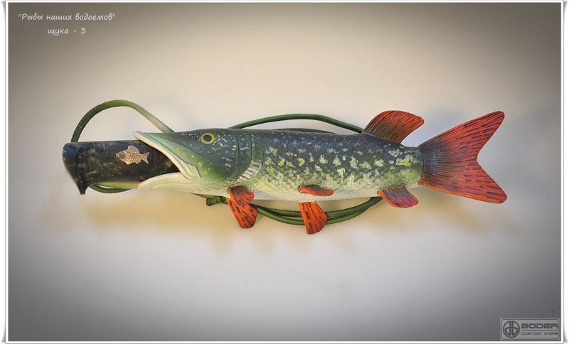 Обыкновенная щука (Esox Lucius)