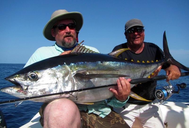 Тунец Bluefin и Yellowfin