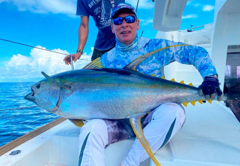 Желтопёрый тунец Thunnus Albacares