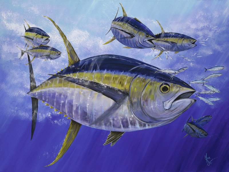 Тунец Yellowfin