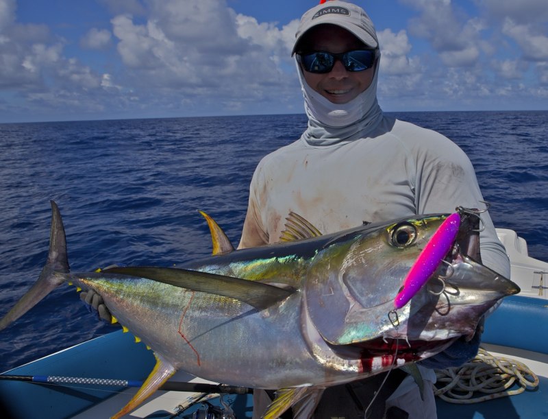 Тунец Yellowfin