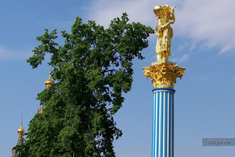 Гроот белый Павлин