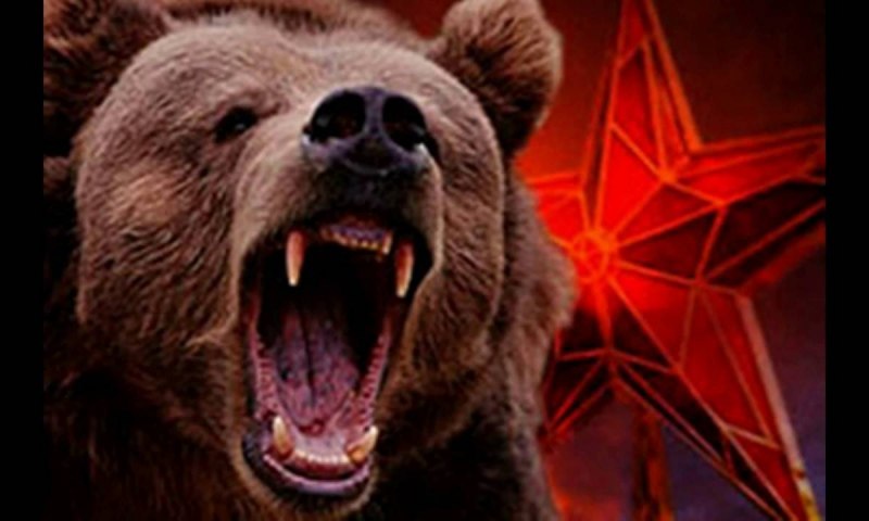 Медведь Гризли и бурый медведь
