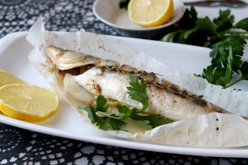 Судак Zander Fish