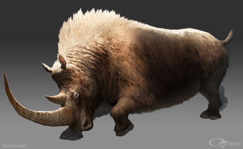 Zoo Tycoon 2 шерстистый носорог
