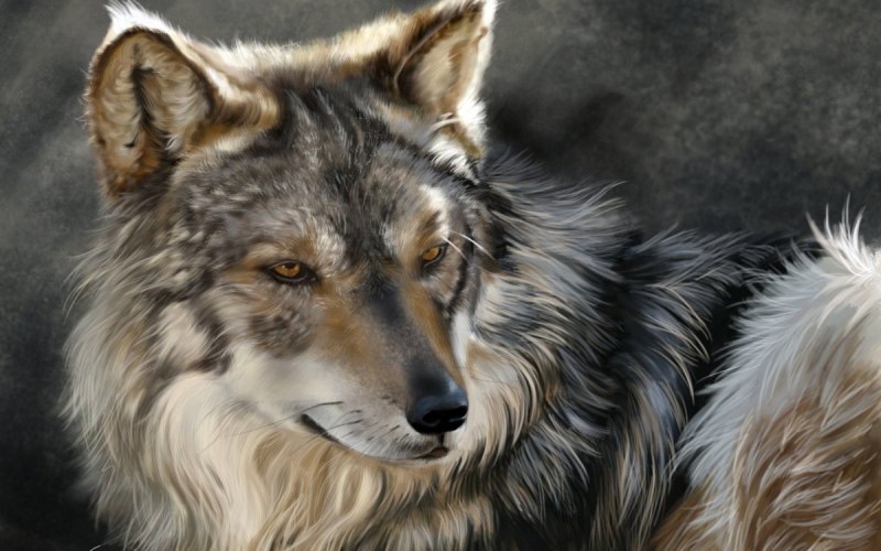Ground Wolf