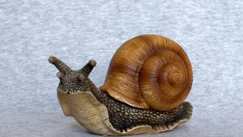 Механическая улитка