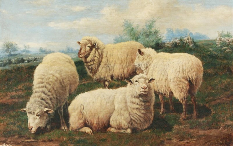 Коровы Arthur Fitzwilliam Tait