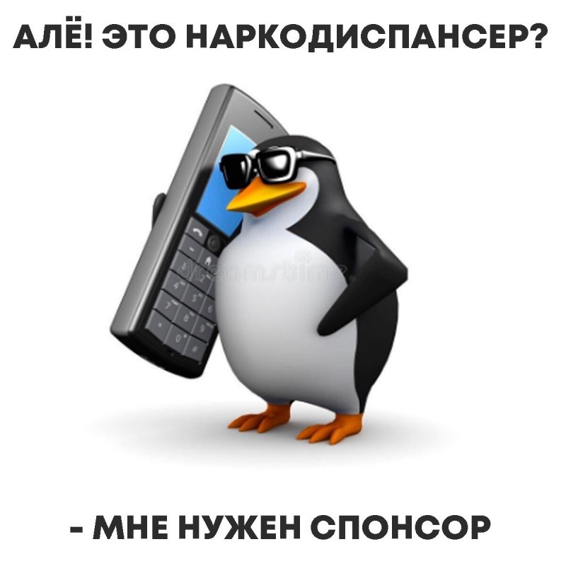 Пингвин Адели интересные факты