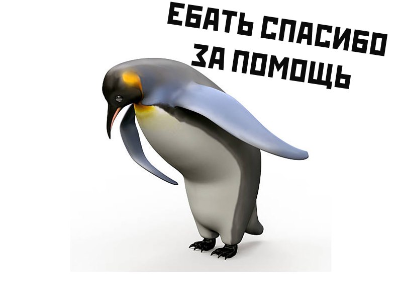 Пингвин спасибо