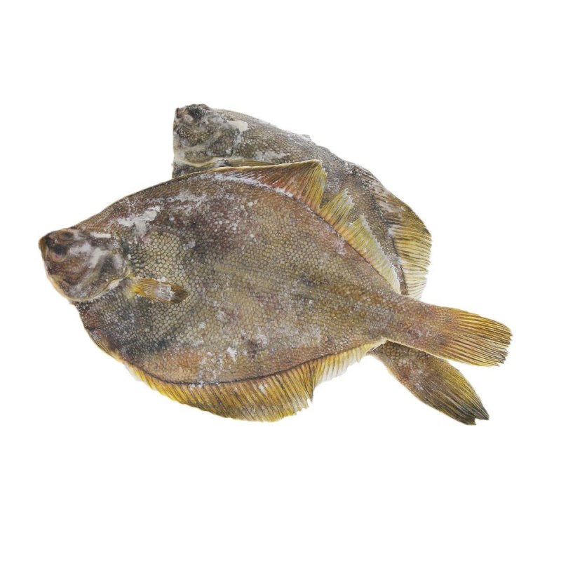 Лиманда рыба