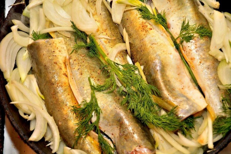 Морская рыба навага