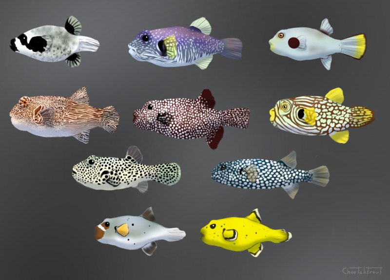 Рыба Arothron nigropunctatus