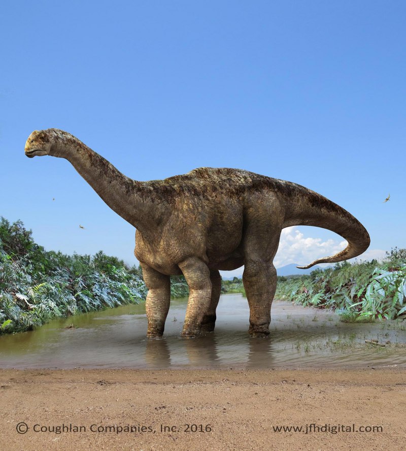 Camarasaurus динозавр
