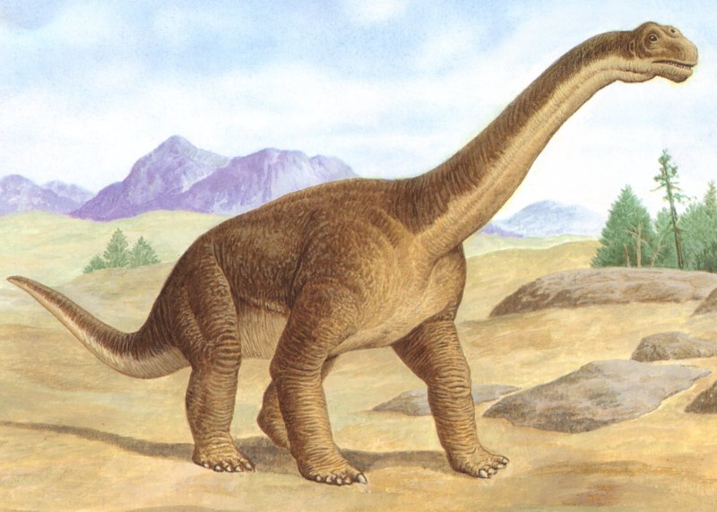 Camarasaurus динозавр
