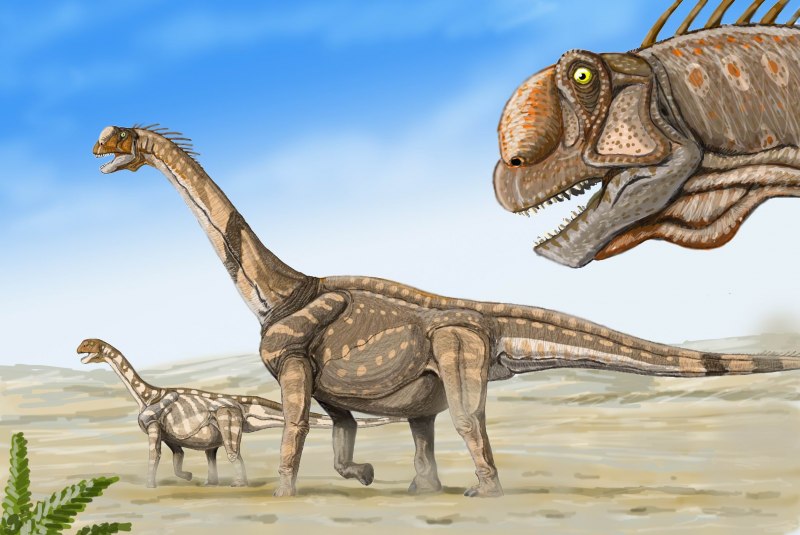 Camarasaurus динозавр